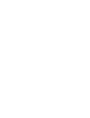 DLN Logo
